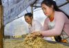 Celebrating Lao coffee and promoting a safe work environment in the supply chain.