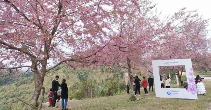 Japan Supports Lao-Japan Friendship Cherry Blossom Garden with USD 63,000 for Security, Environment Upgrades