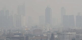 High Air Pollution Levels in Thai Capital Spark Order for City Employees to Work From Home