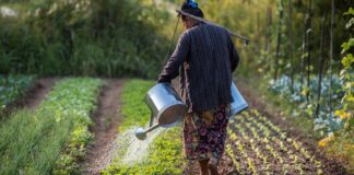 Laos Vows to Graduate from Least Developed Country by 2026