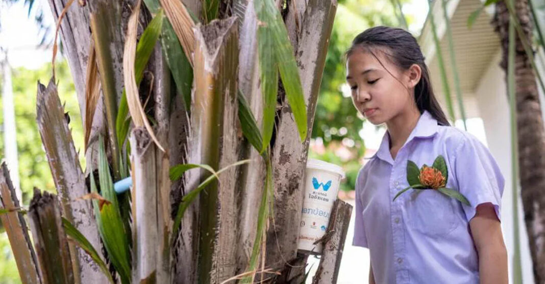 A recent report by Save the Children showed a major reduction in dengue fever instances across Vientiane Capital, Laos, between 2022 and 2023.