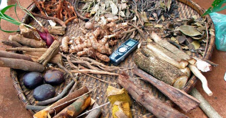 Laos, China Collaborate to Advance Traditional Medicine