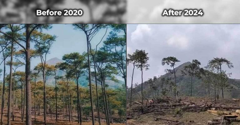 Image on Social Media Reveals Drastic Transformation of Phou Kong Khao Forest Area