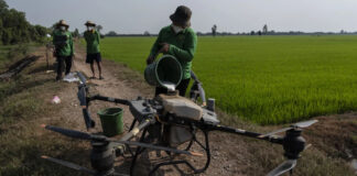 In Vietnam, Farmers Reduce Methane Emissions by Changing How They Grow Rice