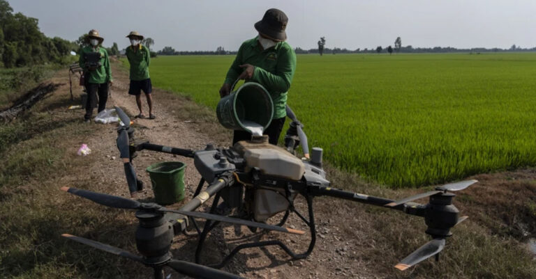 In Vietnam, Farmers Reduce Methane Emissions by Changing How They Grow Rice