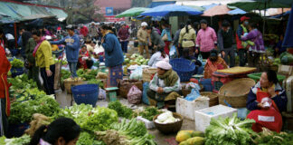 Adapting to Adversity How Lao Citizens Cope with Rising Prices