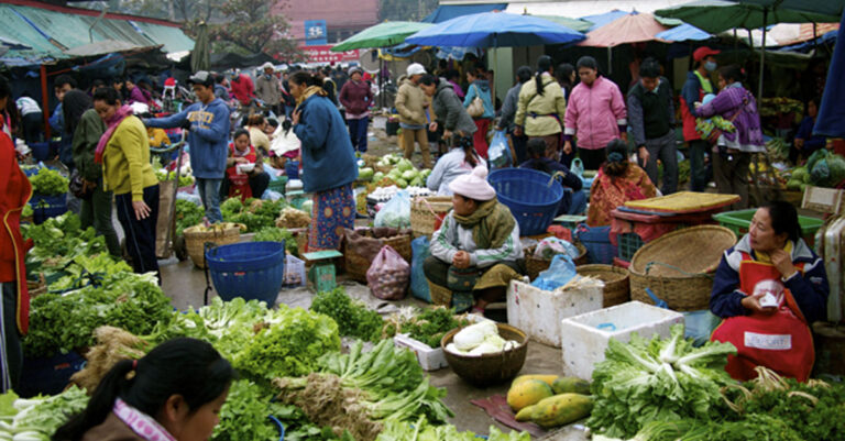 Adapting to Adversity How Lao Citizens Cope with Rising Prices