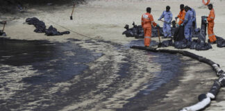 Workers clean oil spill along Sentosa's Tanjong Beach area in Singapore, Sunday, June 16, 2024. An oil spill caused by a dredger boat hitting a stationary cargo tanker has blackened part of Singapore's southern coastline, including the popular resort island of Sentosa, and sparked concerns it may threaten marine wildlife. (AP Photo/Suhaimi Abdullah)