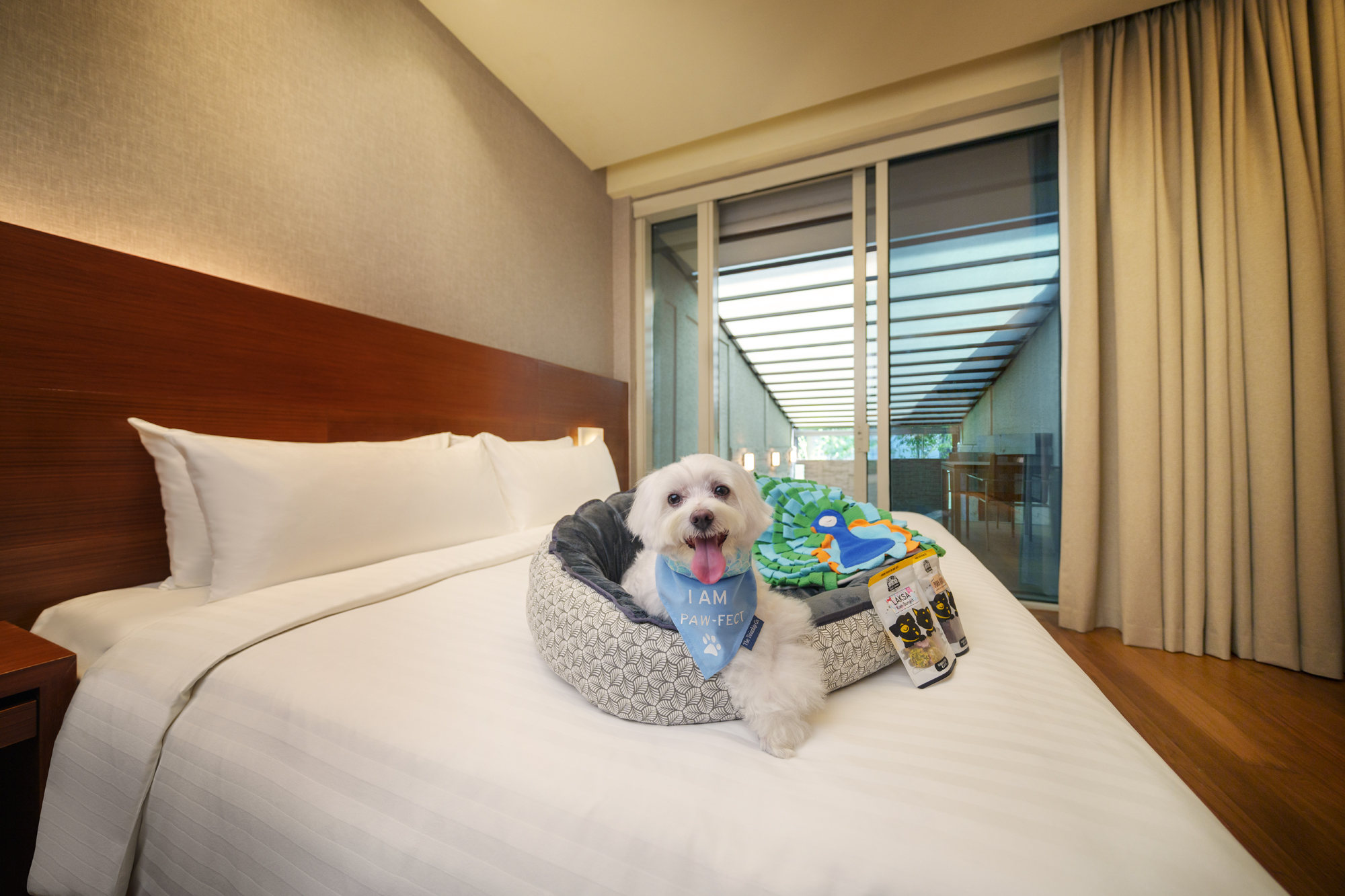 Oasia Resort Sentosa Guest Rooms Courtyard Premier Pet