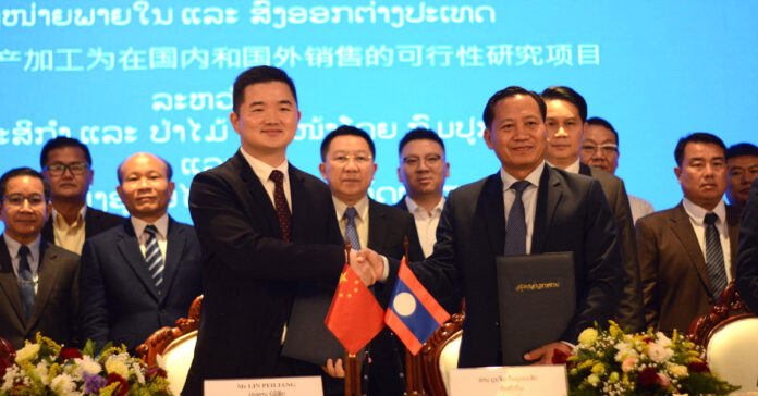 Chinese Firm to Invest USD 600 Million in Pomelo Production in Laos Chinese Firm to Invest USD 600 Million in Pomelo Production in Laos
