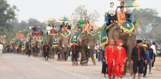 Xayaboury Reschedules Elephant Festival to 18-24 February