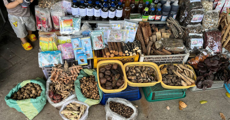 Laos Launches New Initiative to Preserve, Enhance Traditional Medicine Production