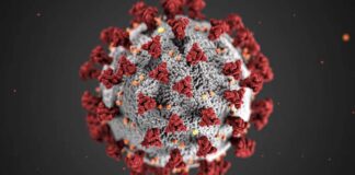 Covid-Like Virus Rises in China, Experts Say Not to Worry