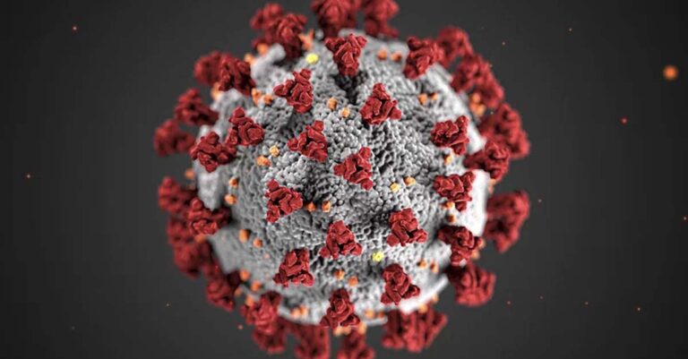 Covid-Like Virus Rises in China, Experts Say Not to Worry