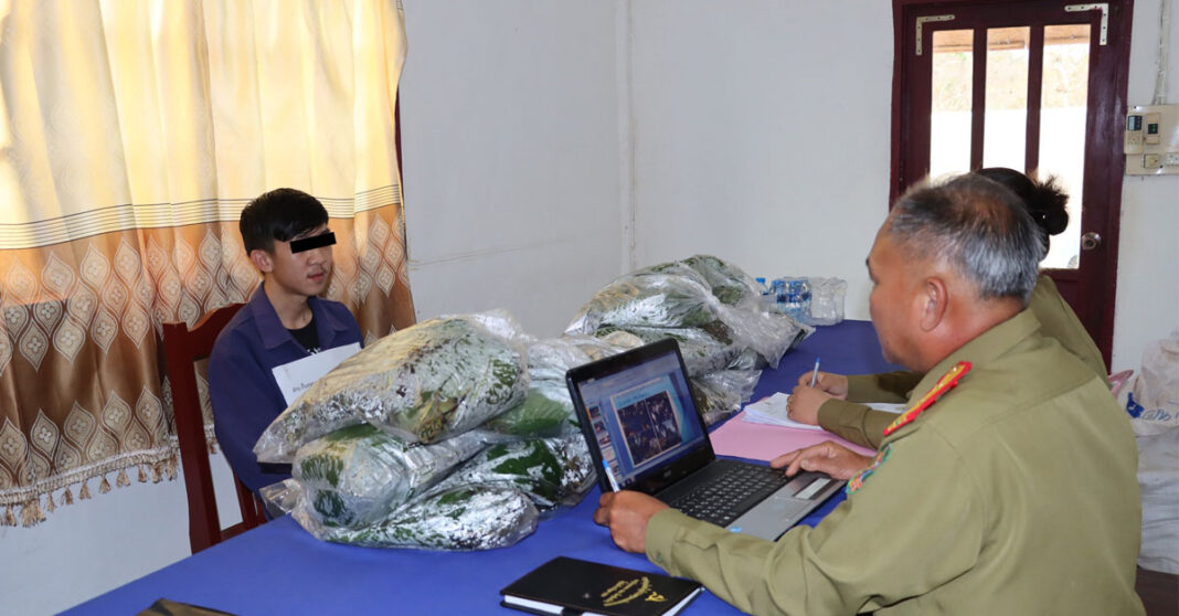 Kratom TikTokers Arrested in Vientiane Drug Crackdown