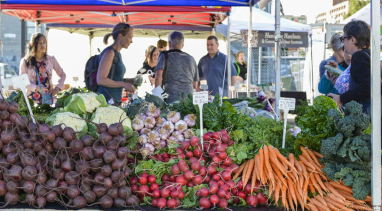 Hmong Market Farmers in Tasmania Not Immune to Agriculture Industry Changes