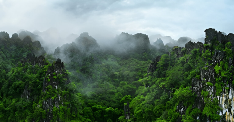 International Day of Forests: Laos Tops Region in Forest Coverage