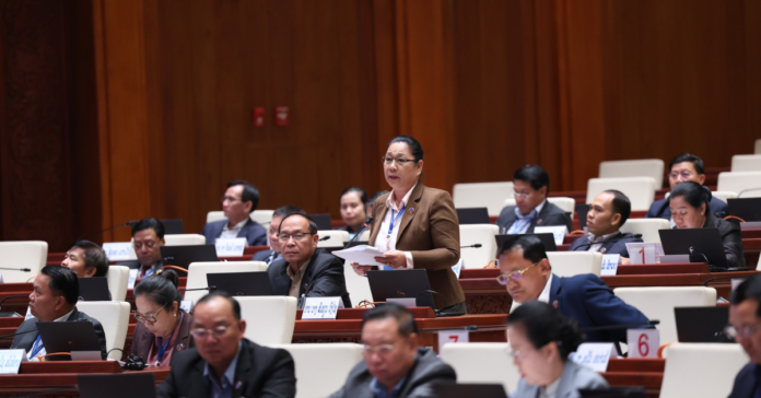 National Assembly Discusses Maternity Leave Adjustment