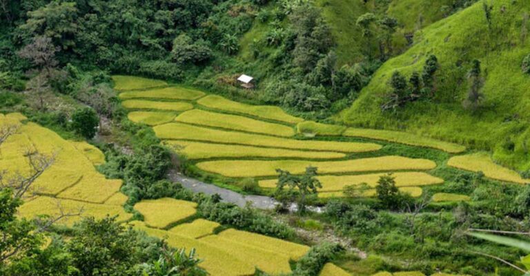 Cash No Longer Accepted for Land Sales in Laos Under New Regulation