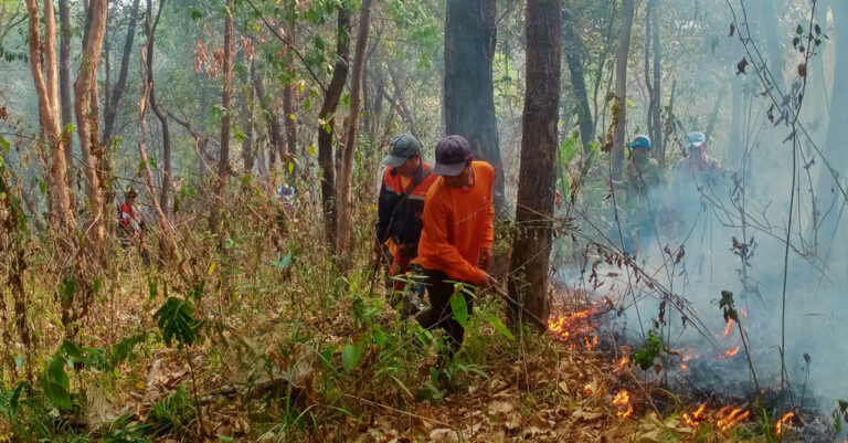 Vientiane Province Steps Up Wildfire Prevention Efforts as Fire Alerts Increase