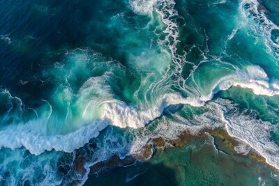 Novotel proudly marks the first anniversary of its transformative three-year partnership with the World Wide Fund for Nature (WWF). Novotel proudly marks the first anniversary of its transformative three-year partnership with the World Wide Fund for Nature (WWF).