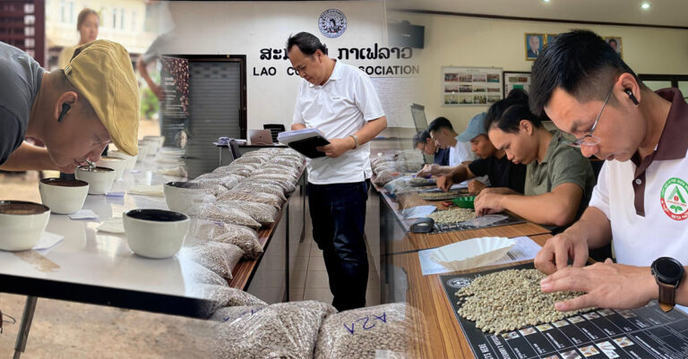 Lao Coffee Cooperatives Take Top Honors at Bolaven Plateau Competition