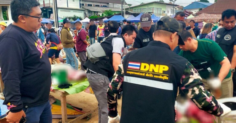Two Lao Nationals Detained in Thailand with Wildlife Carcasses in Trafficking Crackdown