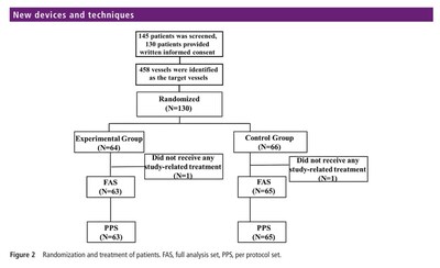 Figure 2 Randomization and treatment of patients. FAS, full analysis set, PPS, per protocol set.