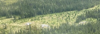 Figure 16: Spodumene pegmatite outcrop at CV13 (looking southerly). (CNW Group/Patriot Battery Metals Inc.)