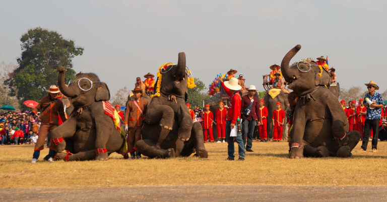 World Elephant Day: Laos’ ‘Land of a Million Elephants’ Now Home to Just 500-1,000
