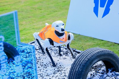 AiMOGA Robotic Dog