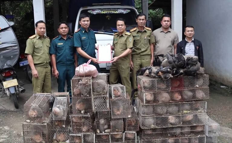 Houaphanh Police Seize 139 Live Animals in Wildlife Trafficking Crackdown
