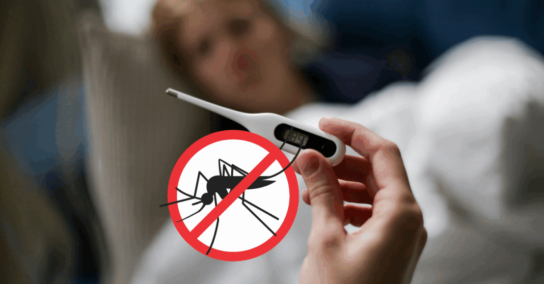 Dengue continues to spread in Laos, with 9,408 cases recorded, one death, in the first nine months of 2025, with Vientiane Capital hardest hit.