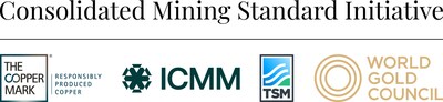 cmsi_logo