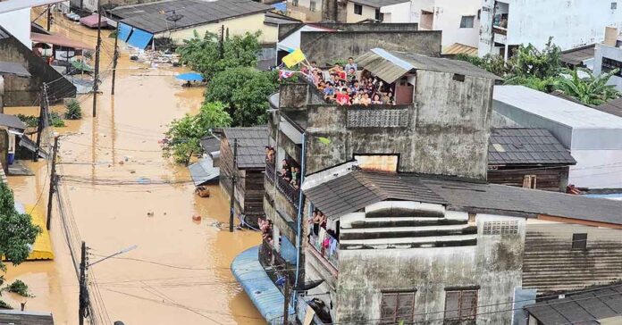 Over 100 Bodies Recovered in Hat Yai Flood; Identification Efforts Underway