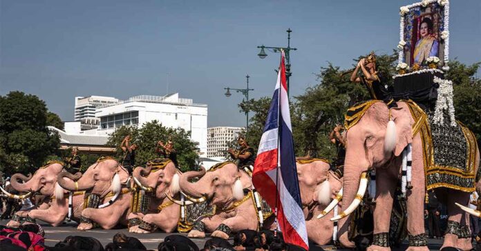 Pink Elephants March for Thailand’s Late Queen Mother