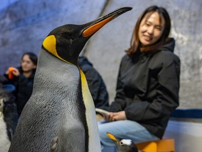 Book tours at Bird Paradise, including the Backstage Pass: Penguin Encounters, and support a good cause - a portion of the proceeds goes to President’s Challenge 2025.