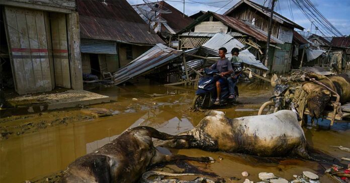 Survivors Pick Up Pieces in Flood-Hit Indonesia as More Rain Predicted Survivors Pick Up Pieces in Flood-Hit Indonesia as More Rain Predicted