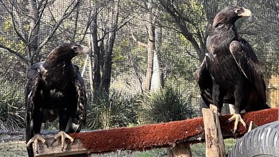 image_5030654_10578631