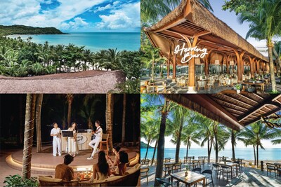 Herring Bar - Where Tet Meets the Sea Breeze