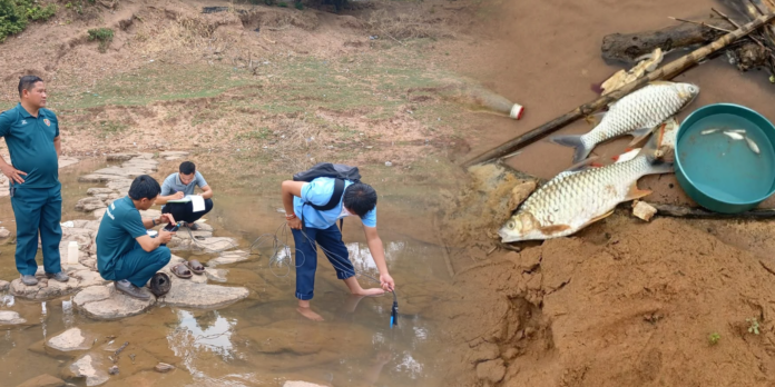 Dead fish floating along Xe Don River raising environmental concerns in Laos
