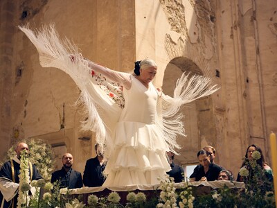 FLAMENCO FILM FRAME FLAMENCO FILM FRAME
