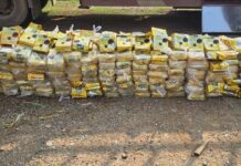 Laos Seizes Major Drug Hauls, Arrests Over 4,000 in Six Months