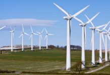 China-Laos Low-Carbon Project Expected to Cut Emissions by More Than 1,200 Tons Annually