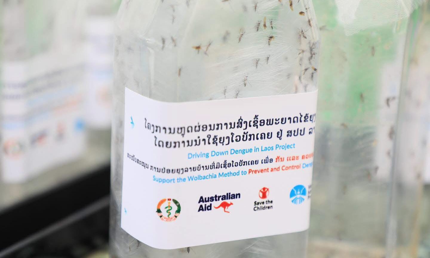 Release Launch in the Northern Provinces: WolbachiaMosquitoes Take Flight Across Laos to Fight against Dengue