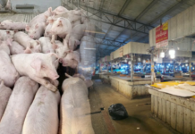 African Swine Fever Disrupts Pork Supplies, Beef Prices Rise in Vientiane