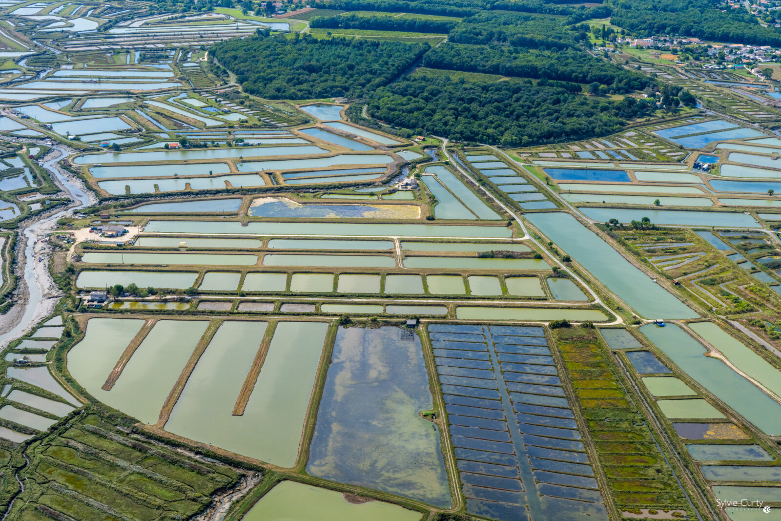 Oyster farms in Marennes Oléron